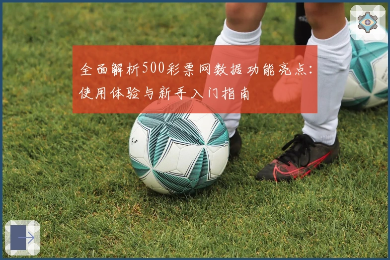全面解析500彩票网数据功能亮点：使用体验与新手入门指南