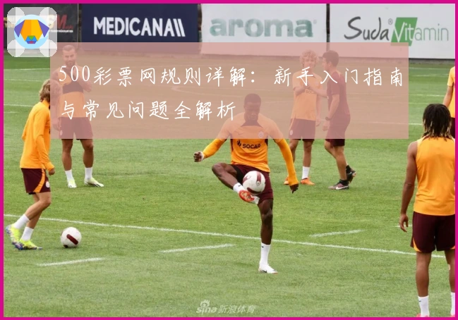 500彩票网规则详解:新手入门指南与常见问题全解析