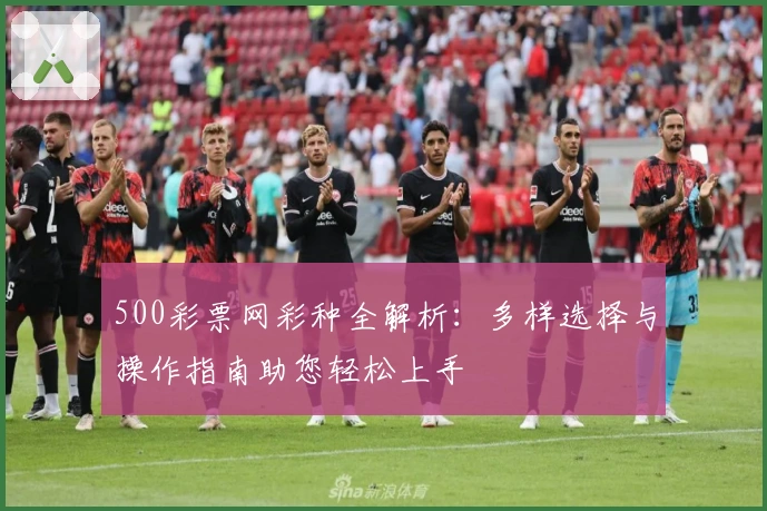 500彩票网彩种全解析：多样选择与操作指南助您轻松上手