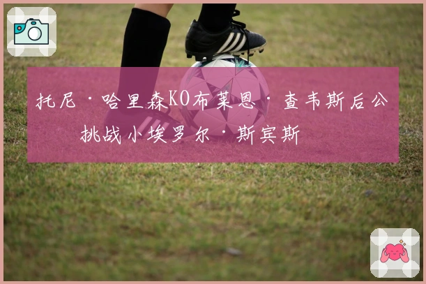 托尼·哈里森KO布莱恩·查韦斯后公开挑战小埃罗尔·斯宾斯