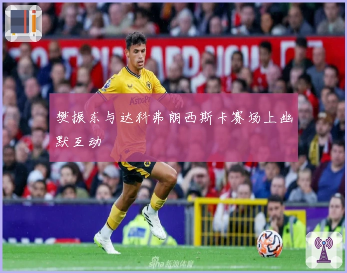 樊振东与达科弗朗西斯卡赛场上幽默互动