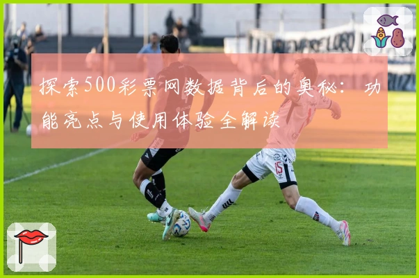 探索500彩票网数据背后的奥秘：功能亮点与使用体验全解读