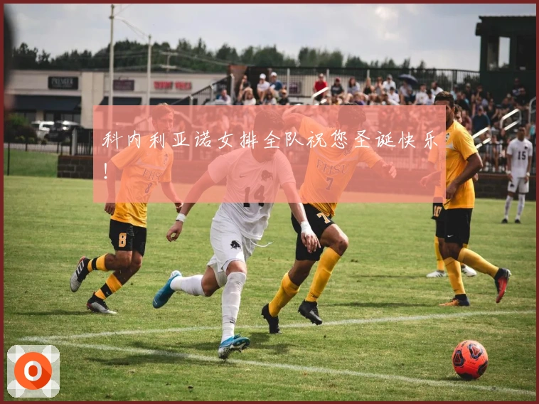 科内利亚诺女排全队祝您圣诞快乐！